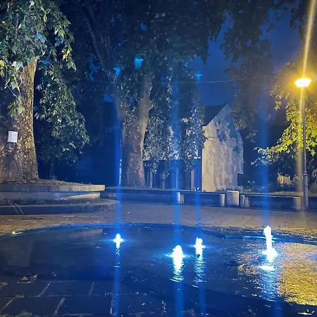 Platani * Kotor Varos